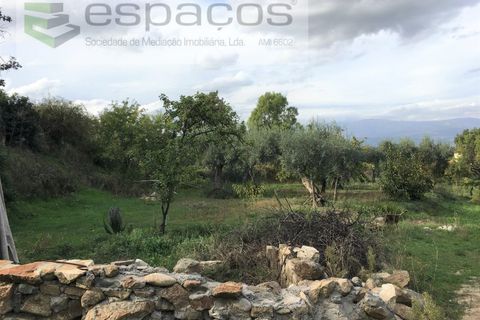 Terra a Fundao, Castelo Branco, Fundao - € 210.000 | Ref: 4642/GA - foto 5