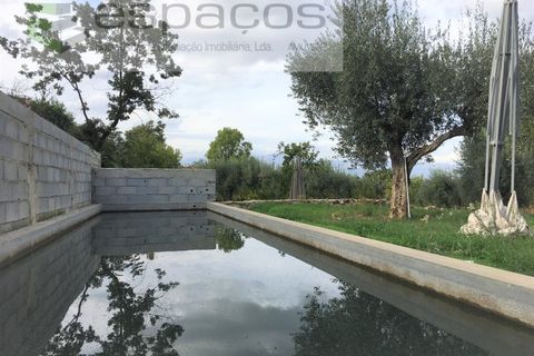 Terra a Fundao, Castelo Branco, Fundao - € 210.000 | Ref: 4642/GA - foto 6