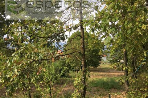 Terra a Fundao, Castelo Branco, Fundao - € 210.000 | Ref: 4642/GA - foto 7