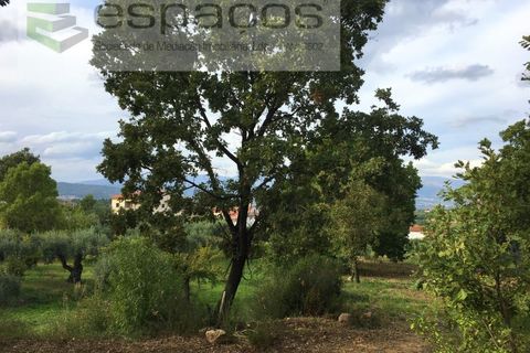 Terra a Fundao, Castelo Branco, Fundao - € 210.000 | Ref: 4642/GA - foto 8