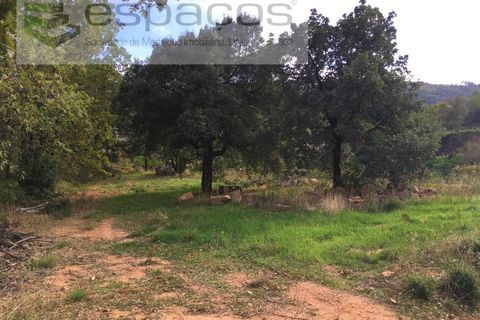 Terra a Fundao, Castelo Branco, Fundao - € 210.000 | Ref: 4642/GA - foto 9