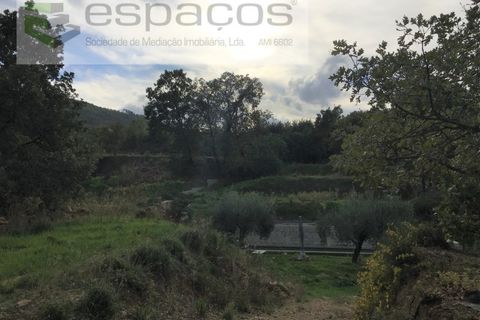 Terra a Fundao, Castelo Branco, Fundao - € 210.000 | Ref: 4642/GA - foto 10