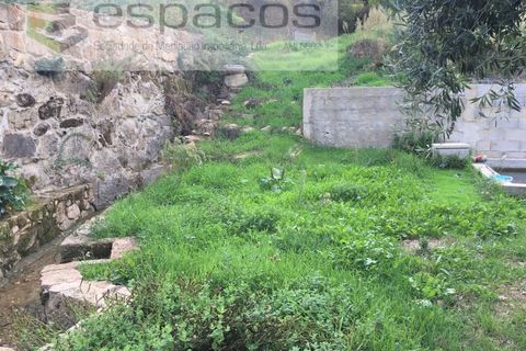 Terra a Fundao, Castelo Branco, Fundao - € 210.000 | Ref: 4642/GA - foto 12