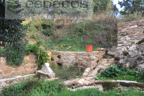 Terra a Fundao, Castelo Branco, Fundao - € 210.000 | Ref: 4642/GA - foto 13