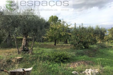 Terra a Fundao, Castelo Branco, Fundao - € 210.000 | Ref: 4642/GA - foto 14