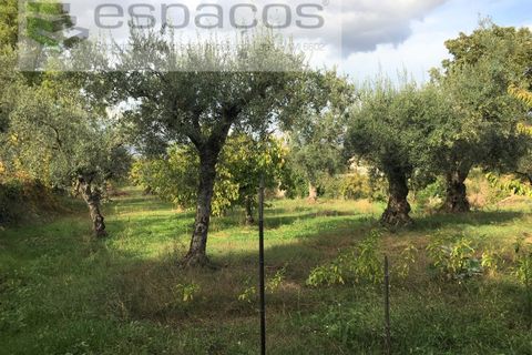 Terra a Fundao, Castelo Branco, Fundao - € 210.000 | Ref: 4642/GA - foto 15