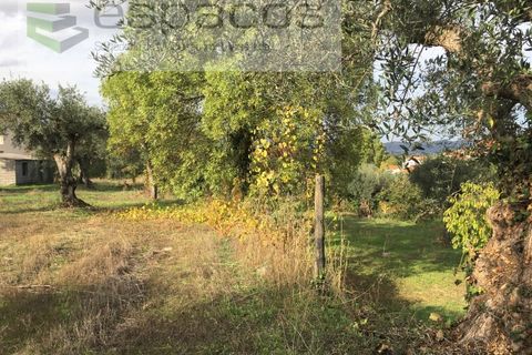 Terra a Fundao, Castelo Branco, Fundao - € 210.000 | Ref: 4642/GA - foto 16