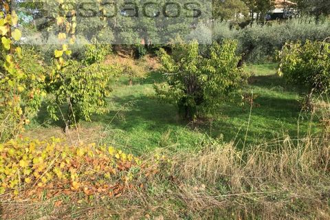 Terra a Fundao, Castelo Branco, Fundao - € 210.000 | Ref: 4642/GA - foto 17