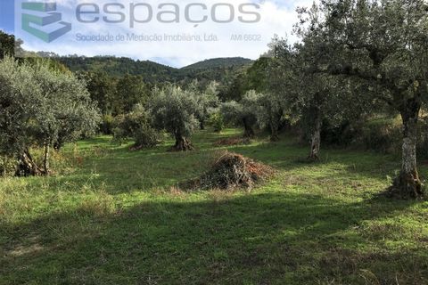 Terra a Fundao, Castelo Branco, Fundao - € 210.000 | Ref: 4642/GA - foto 18