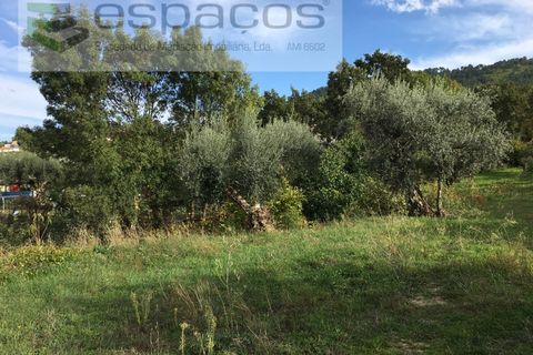Terra a Fundao, Castelo Branco, Fundao - € 210.000 | Ref: 4642/GA - foto 19
