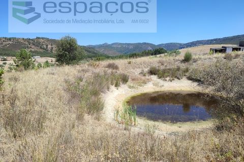 Terra a Santana, Portalegre, Santana - € 16.500 | Ref: 4482/EG - foto 2