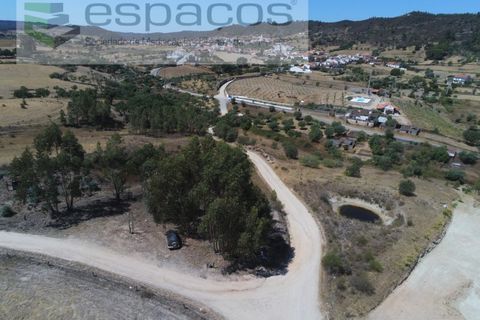 Terra a Santana, Portalegre, Santana - € 16.500 | Ref: 4482/EG - foto 5