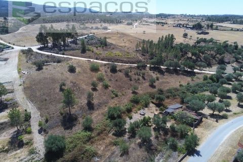 Terra a Santana, Portalegre, Santana - € 16.500 | Ref: 4482/EG - foto 6