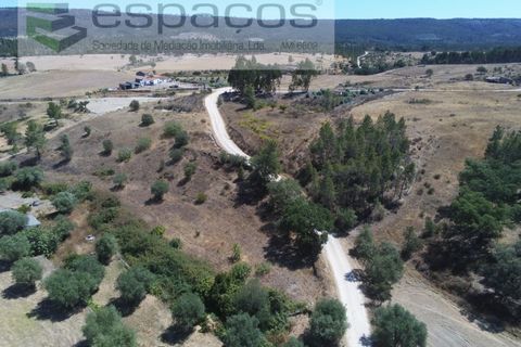Terra a Santana, Portalegre, Santana - € 16.500 | Ref: 4482/EG - foto 8