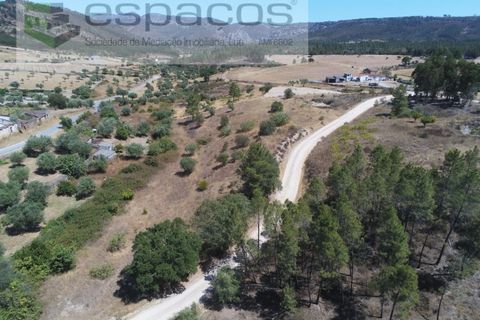 Terra a Santana, Portalegre, Santana - € 16.500 | Ref: 4482/EG - foto 9