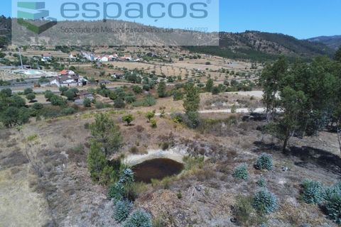 Terra a Santana, Portalegre, Santana - € 16.500 | Ref: 4482/EG - foto 10