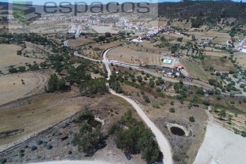 Terra a Santana, Portalegre, Santana - € 16.500 | Ref: 4482/EG - foto 11