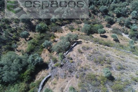 Helårsgrund i Perais, Castelo Branco, Perais - € 7.500 | Ref: 5021/RR_EM - foto 2