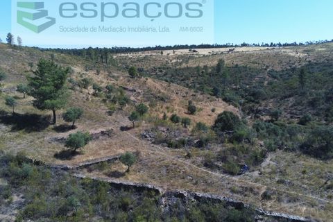 Helårsgrund i Perais, Castelo Branco, Perais - € 7.500 | Ref: 5021/RR_EM - foto 3