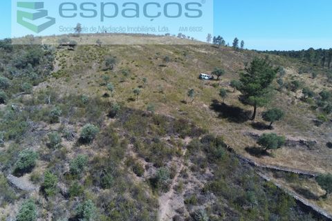 Helårsgrund i Perais, Castelo Branco, Perais - € 7.500 | Ref: 5021/RR_EM - foto 6