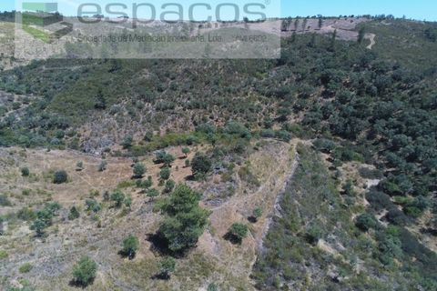 Helårsgrund i Perais, Castelo Branco, Perais - € 7.500 | Ref: 5021/RR_EM - foto 7