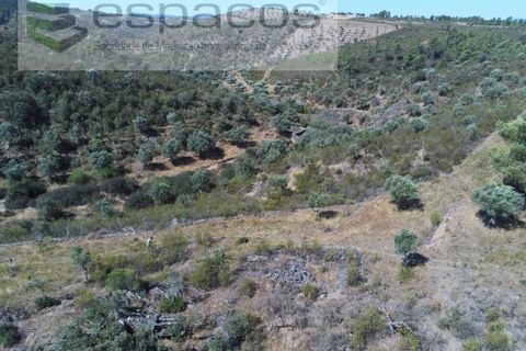 Helårsgrund i Perais, Castelo Branco, Perais - € 7.500 | Ref: 5021/RR_EM - foto 8