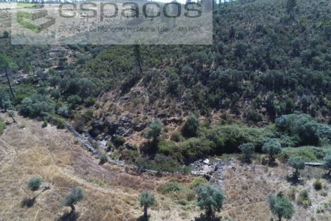 Helårsgrund i Perais, Castelo Branco, Perais - € 7.500 | Ref: 5021/RR_EM - foto 9
