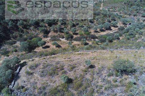 Helårsgrund i Perais, Castelo Branco, Perais - € 7.500 | Ref: 5021/RR_EM - foto 10