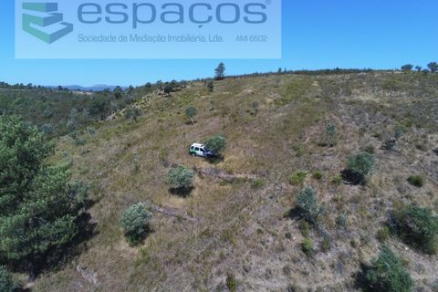Helårsgrund i Perais, Castelo Branco, Perais - € 7.500 | Ref: 5021/RR_EM - foto 11