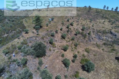 Helårsgrund i Perais, Castelo Branco, Perais - € 7.500 | Ref: 5021/RR_EM - foto 12