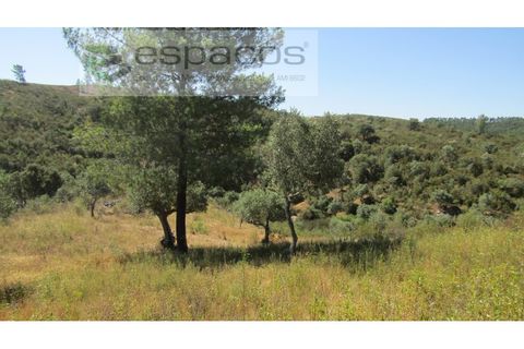 Helårsgrund i Perais, Castelo Branco, Perais - € 7.500 | Ref: 5021/RR_EM - foto 13