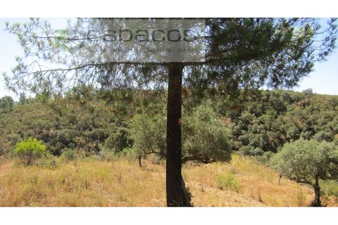 Helårsgrund i Perais, Castelo Branco, Perais - € 7.500 | Ref: 5021/RR_EM - foto 14