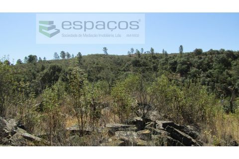 Helårsgrund i Perais, Castelo Branco, Perais - € 7.500 | Ref: 5021/RR_EM - foto 16