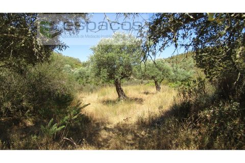 Helårsgrund i Perais, Castelo Branco, Perais - € 7.500 | Ref: 5021/RR_EM - foto 1