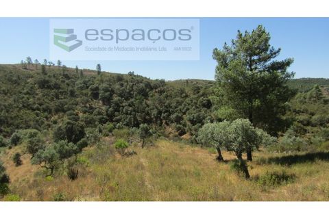 Helårsgrund i Perais, Castelo Branco, Perais - € 7.500 | Ref: 5021/RR_EM - foto 22