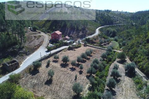 Gård i Cambas, Castelo Branco, Cambas - € 195 000 | Ref: 4768/EG - foto 2