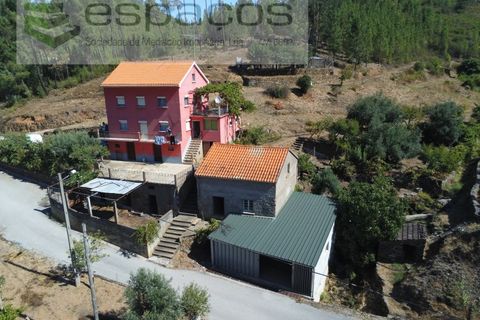 Gård i Cambas, Castelo Branco, Cambas - € 195 000 | Ref: 4768/EG - foto 5