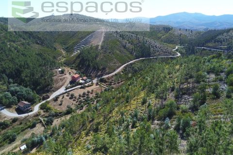 Gård i Cambas, Castelo Branco, Cambas - € 195 000 | Ref: 4768/EG - foto 6