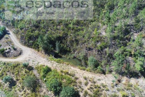 Gård i Cambas, Castelo Branco, Cambas - € 195 000 | Ref: 4768/EG - foto 8