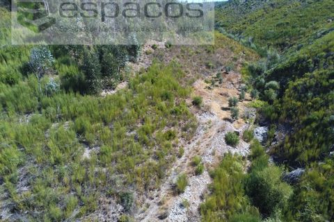 Gård i Cambas, Castelo Branco, Cambas - € 195 000 | Ref: 4768/EG - foto 9