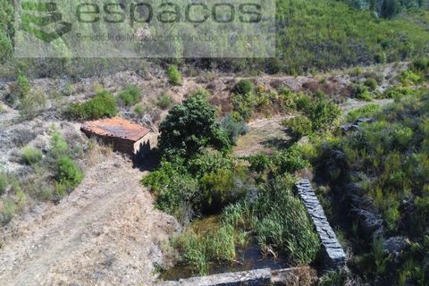 Gård i Cambas, Castelo Branco, Cambas - € 195 000 | Ref: 4768/EG - foto 10