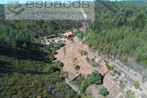 Gård i Cambas, Castelo Branco, Cambas - € 195 000 | Ref: 4768/EG - foto 11