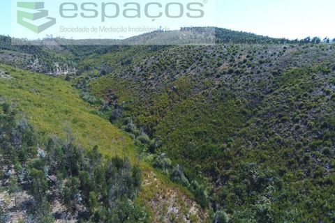 Gård i Cambas, Castelo Branco, Cambas - € 195 000 | Ref: 4768/EG - foto 12