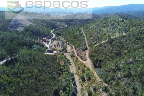 Gård i Cambas, Castelo Branco, Cambas - € 195 000 | Ref: 4768/EG - foto 13