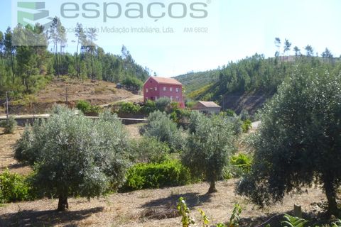 Gård i Cambas, Castelo Branco, Cambas - € 195 000 | Ref: 4768/EG - foto 14