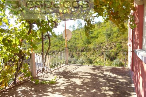 Gård i Cambas, Castelo Branco, Cambas - € 195 000 | Ref: 4768/EG - foto 17
