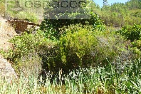 Gård i Cambas, Castelo Branco, Cambas - € 195 000 | Ref: 4768/EG - foto 19