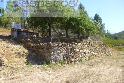 Gård i Cambas, Castelo Branco, Cambas - € 195 000 | Ref: 4768/EG - foto 20