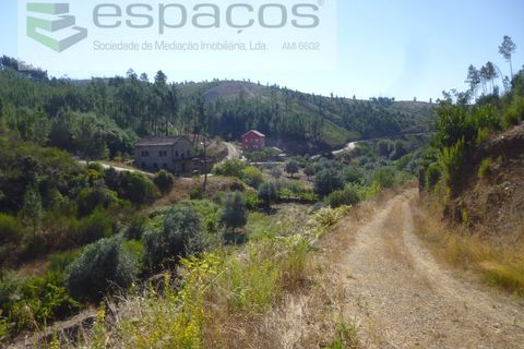 Gård i Cambas, Castelo Branco, Cambas - € 195 000 | Ref: 4768/EG - foto 21