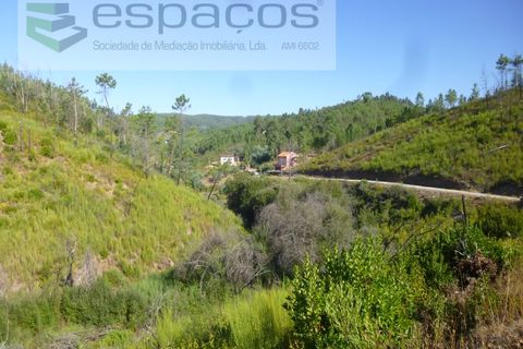 Gård i Cambas, Castelo Branco, Cambas - € 195 000 | Ref: 4768/EG - foto 22